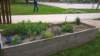 Photo Number 13