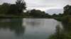 Photo Number 5